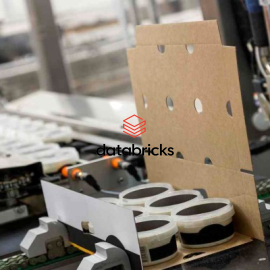 Roasted cashew nuts with silk skin (1)